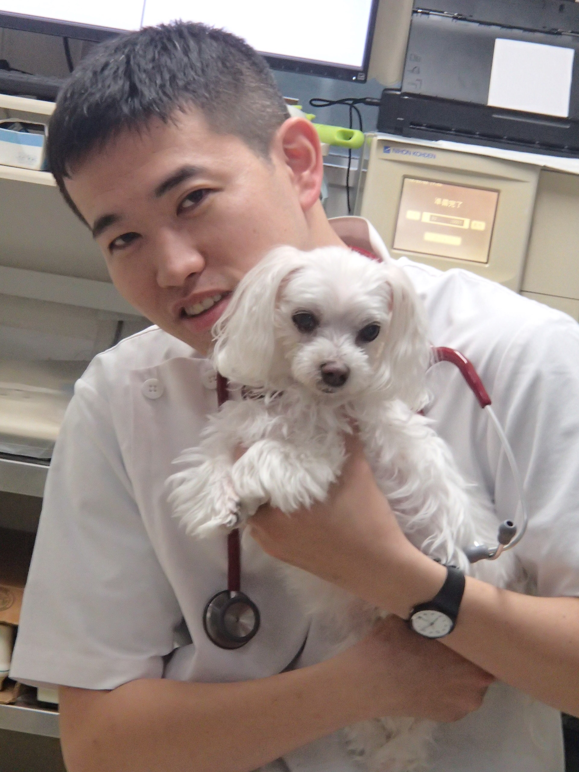 2016_staffvet_ishihara
